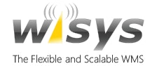 Wi Sys Flexible Logo