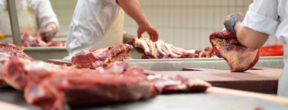 Butchers cutting through beef or lamb meat