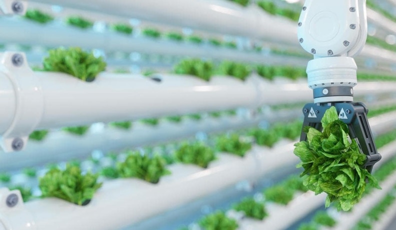 Process Manufacturing Trends 2024 High tech process manufacturing facility