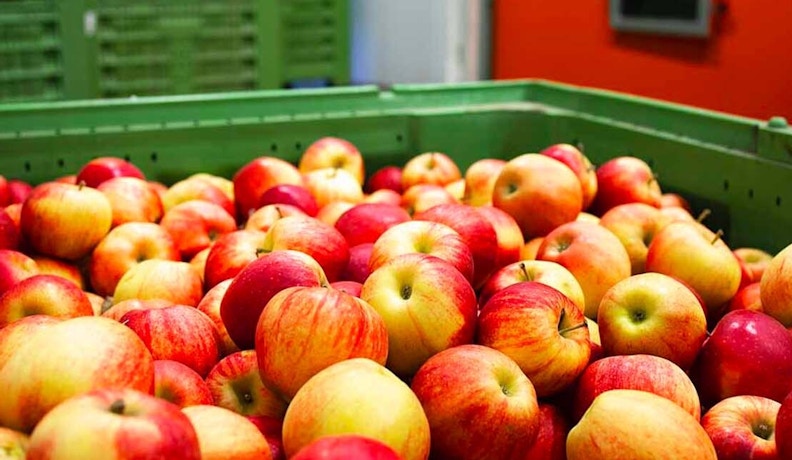 Shelf life food manufacturers Manage shelf life requirements with your inventory management system.